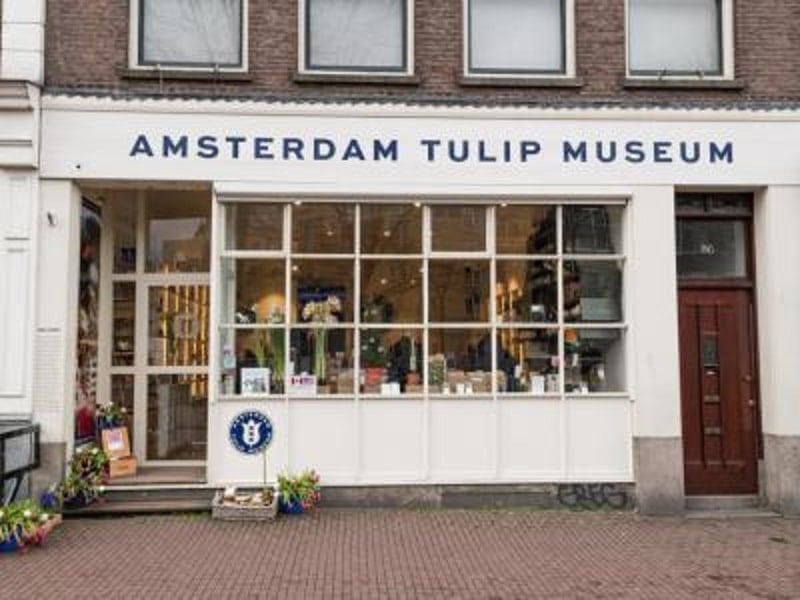 郁金香博物馆阿姆斯特丹