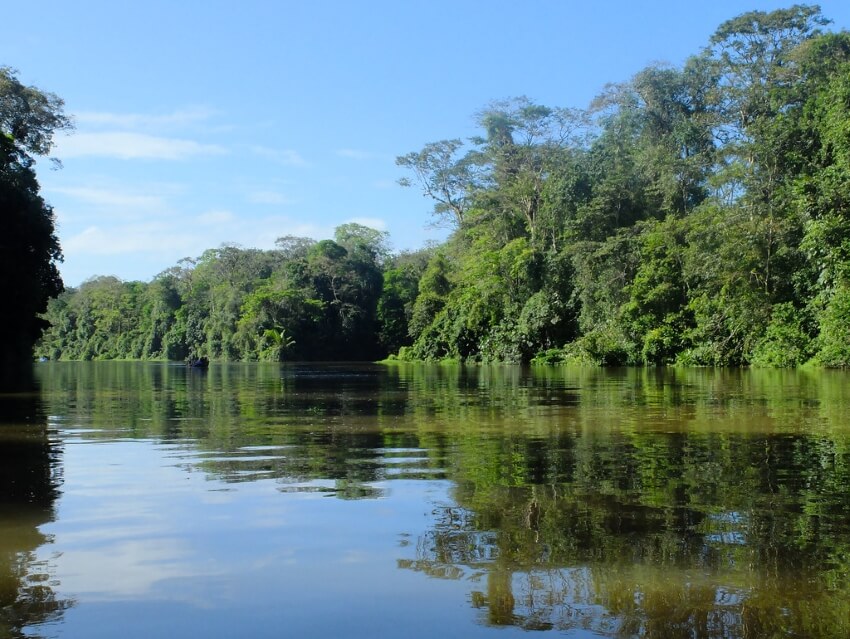 托图盖罗国家公园的河流和森林