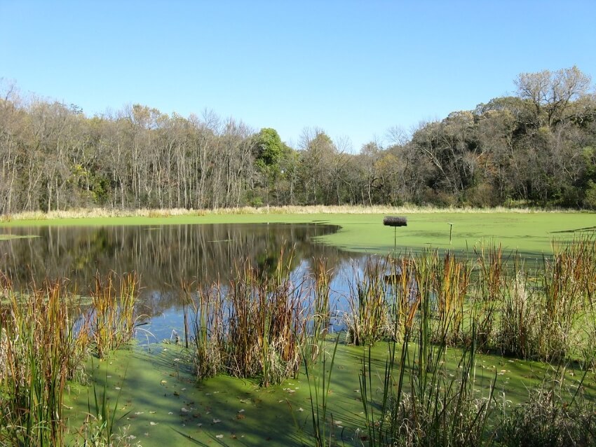 湖和连绵起伏的绿色在清湖国家公园