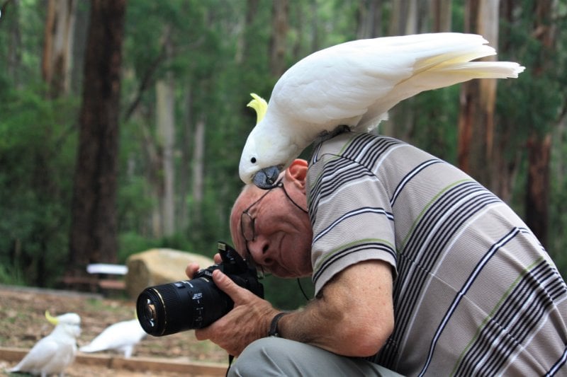 野生动物摄影师与鸟类
